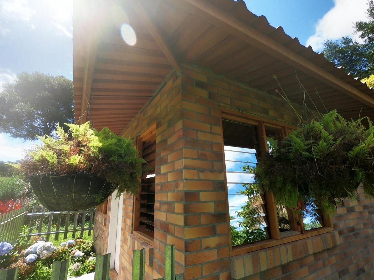 Tribu Ecohostal Лос-Сантос Экстерьер фото